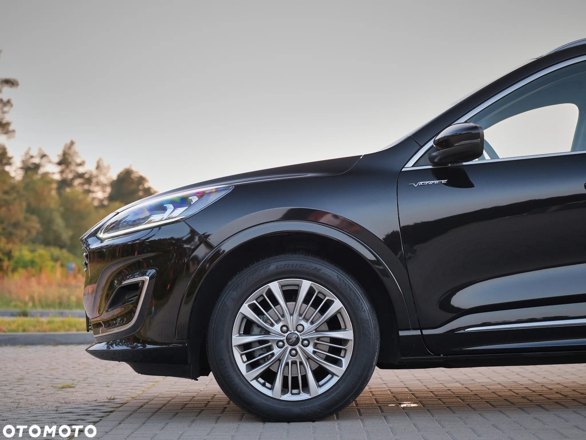 Ford Kuga 2.5 FHEV FWD Vignale - 10