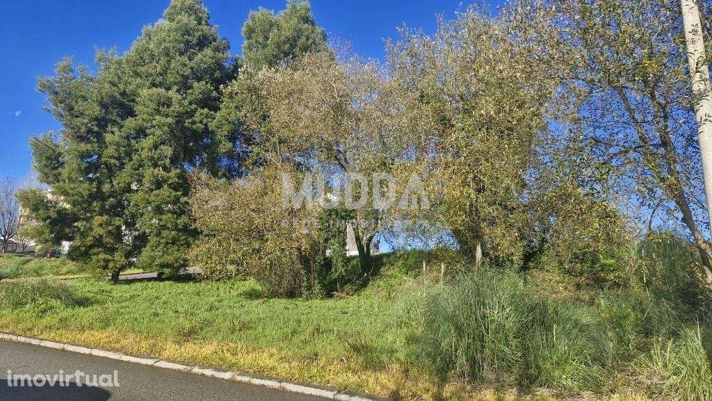 Terreno Urbano para Construção em Altura – São João da Madeira - EXCLU - Grande imagem: 3/26