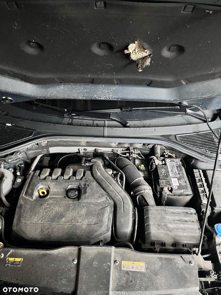 Volkswagen T-Roc ver-1-5-tsi-gpf-act-advance-dsg - 9