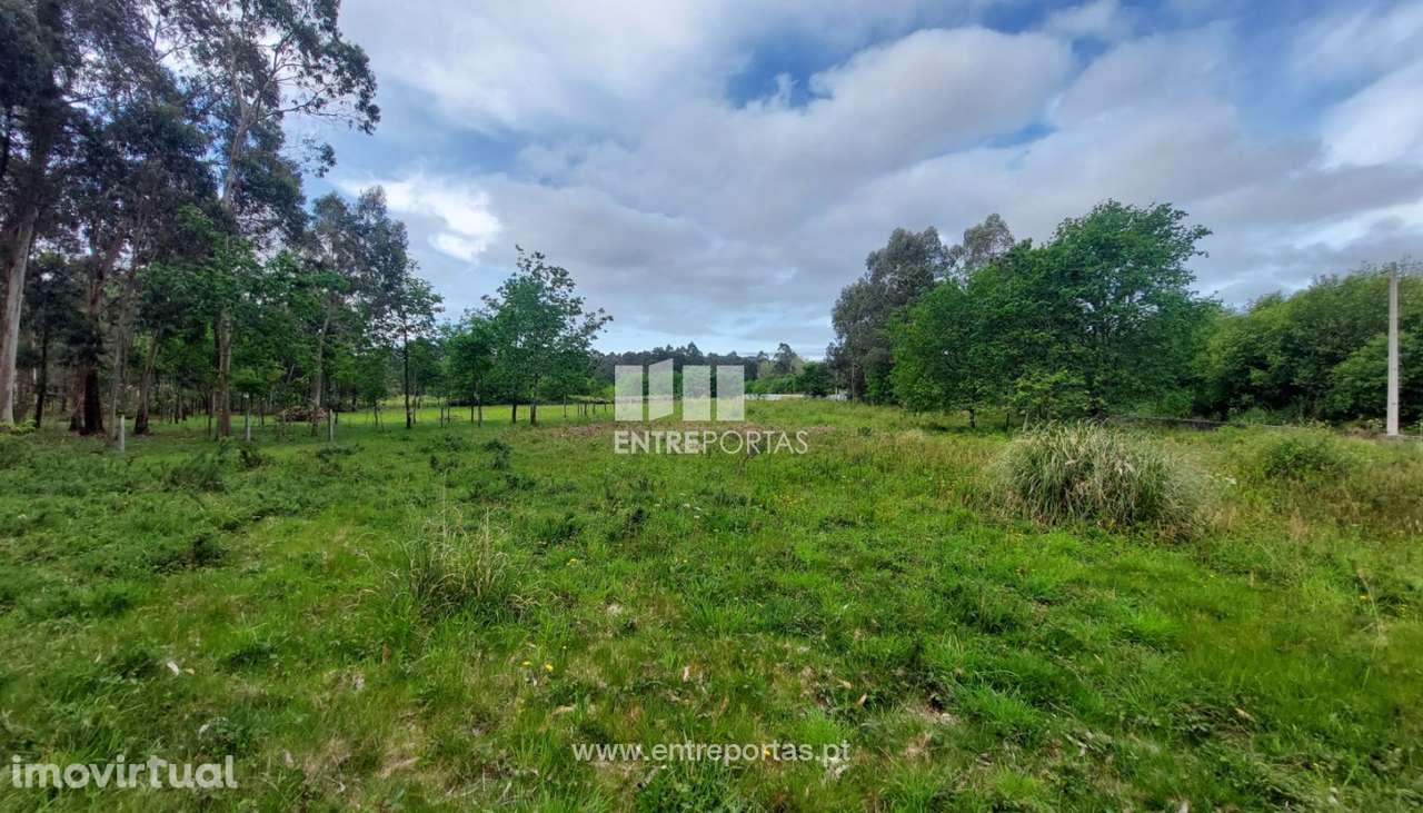 Venda de terreno agrícola com 6500m², Alvarães, Viana do Castelo - Grande imagem: 3/30