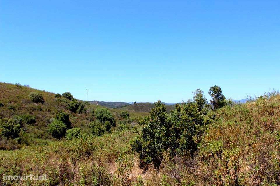 TERRENO RÚSTICO SEM RUINA, BENSAFRIM - Grande imagem: 3/11