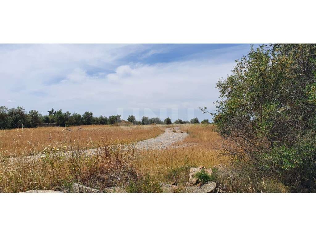 Terreno em Reguengos de Monsaraz - Grande imagem: 4/15