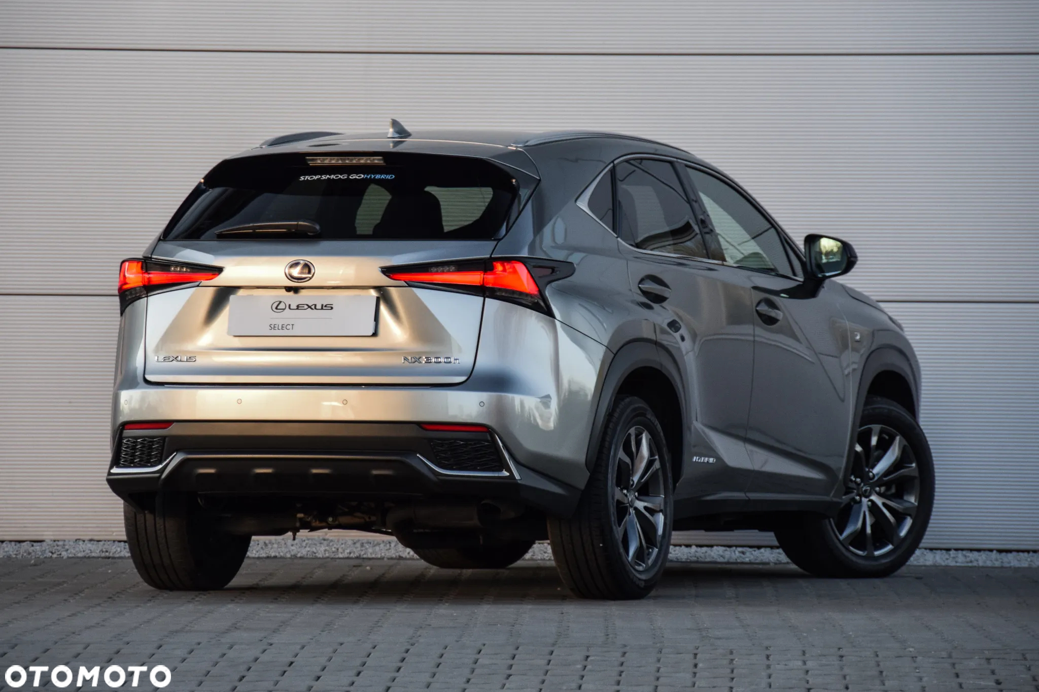 Lexus NX 300h F Sport Edition AWD - 6