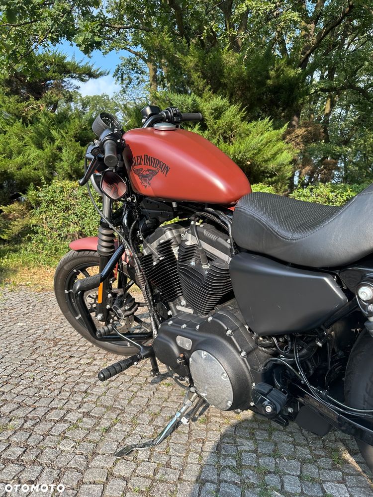 Harley-Davidson Sportster Iron 883 - 7