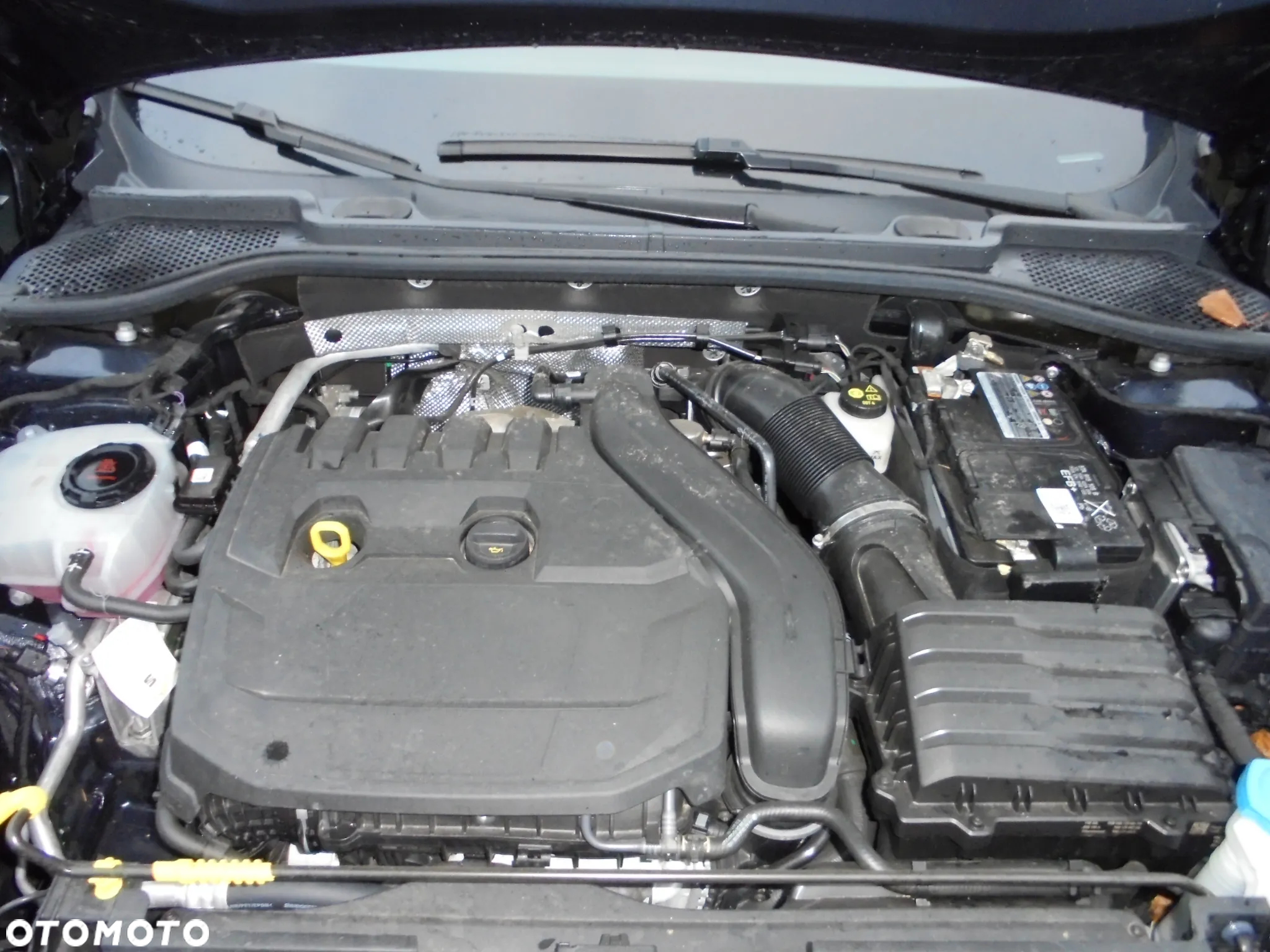Cupra Formentor 1.5 TSI DSG Tribe Edition - 24