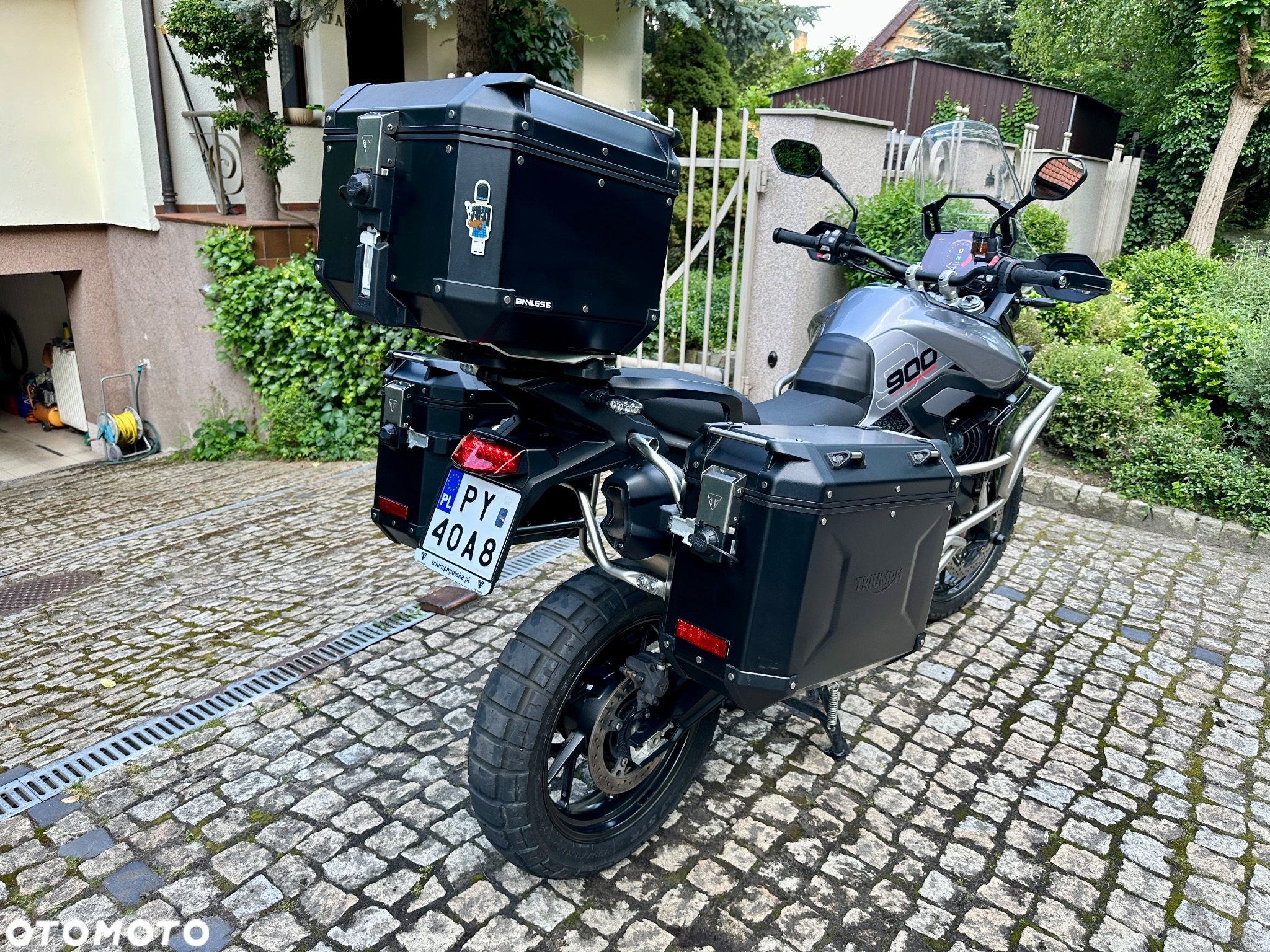 Triumph Tiger - 5