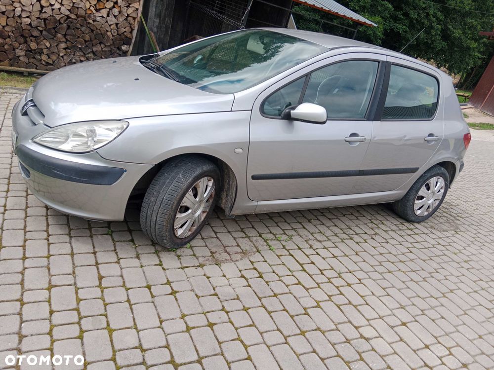 Peugeot 307 - 3
