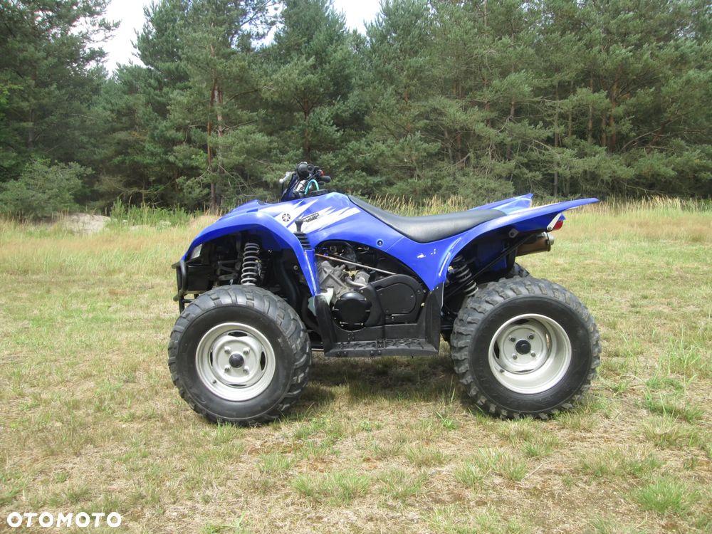 Yamaha Wolverine - 10