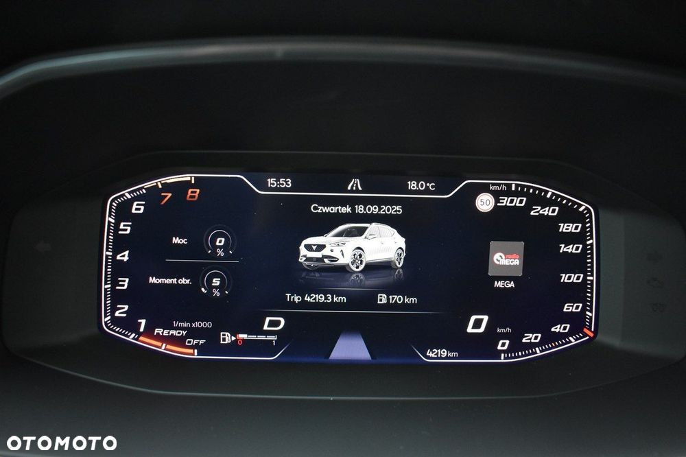 Cupra Formentor 2.0 TSI 4Drive DSG - 12