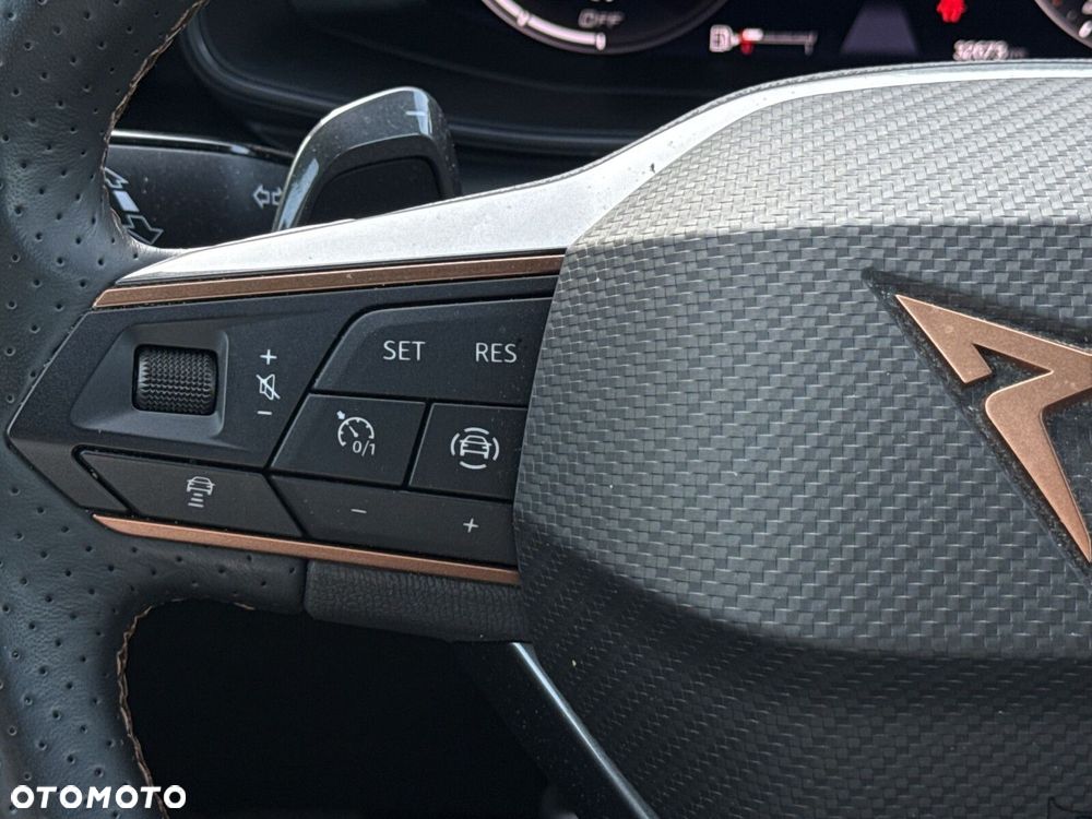 Cupra Formentor 2.0 TSI 4Drive DSG - 17