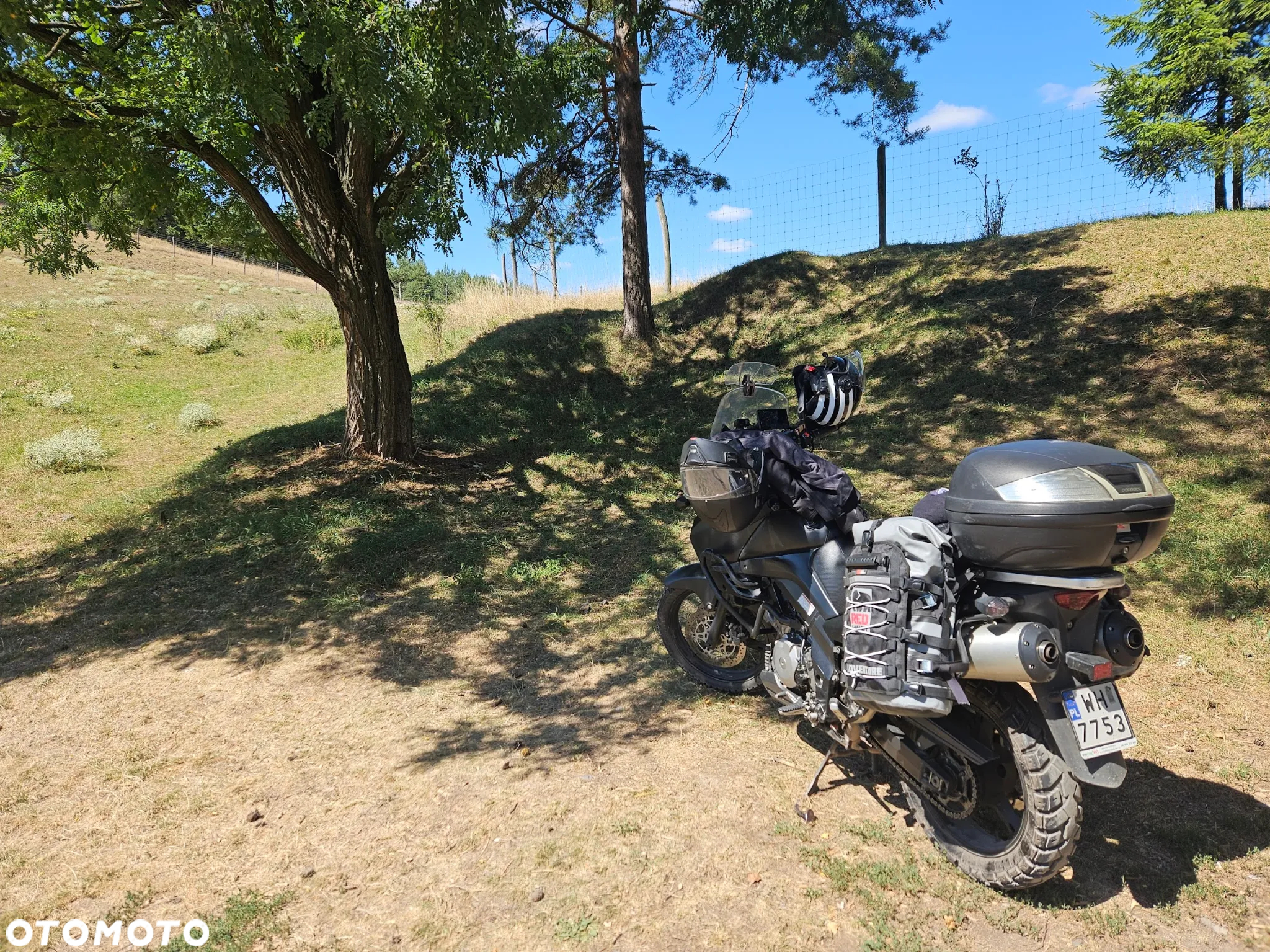 Suzuki DL - 7
