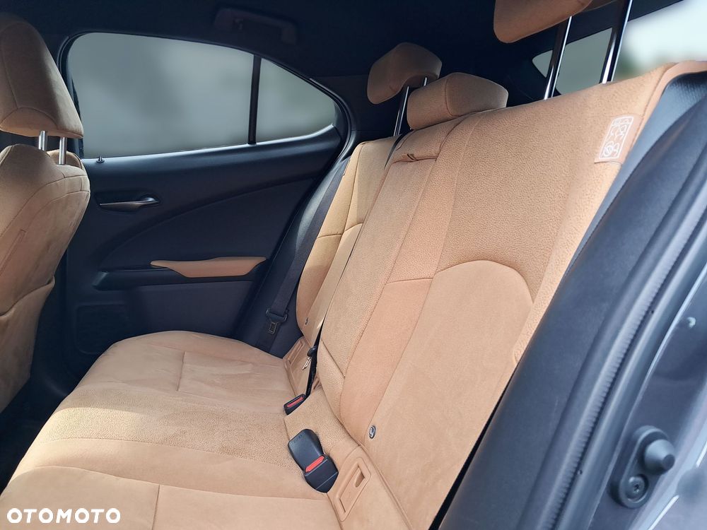 Lexus UX - 14