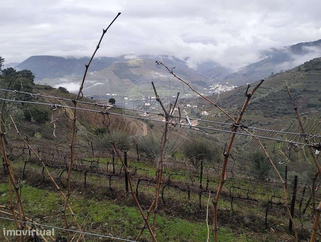 Terreno  para venda - Grande imagem: 4/5
