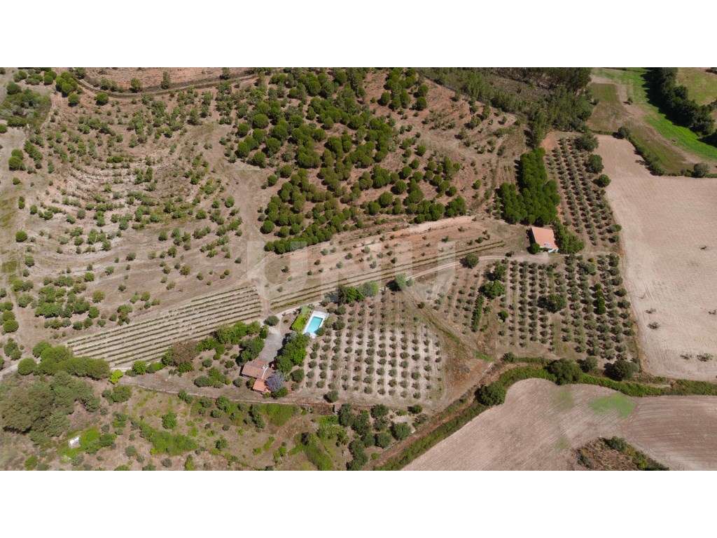 Herdade com 34 Hectares - Grande imagem: 2/39