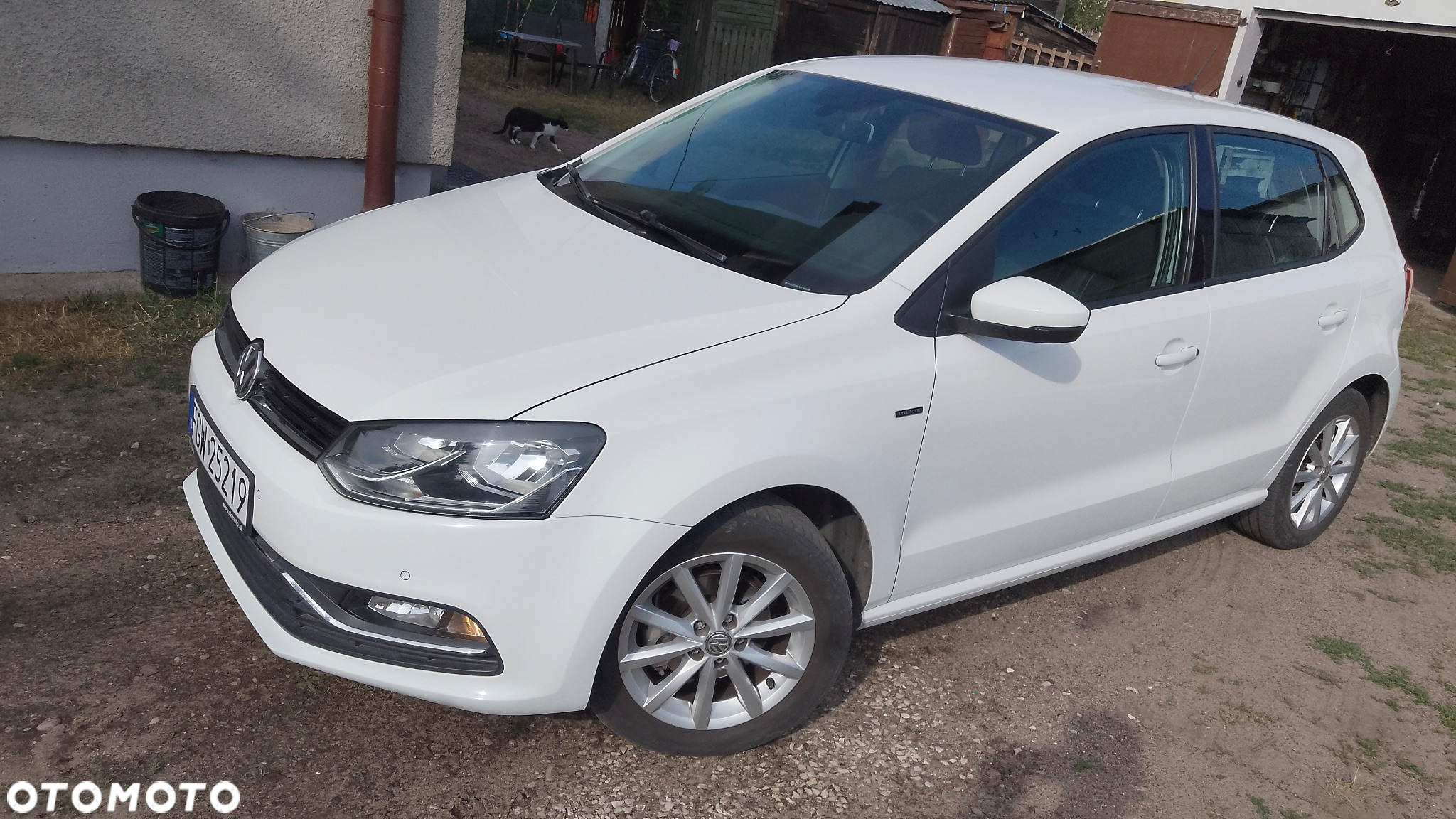 Volkswagen Polo - 2