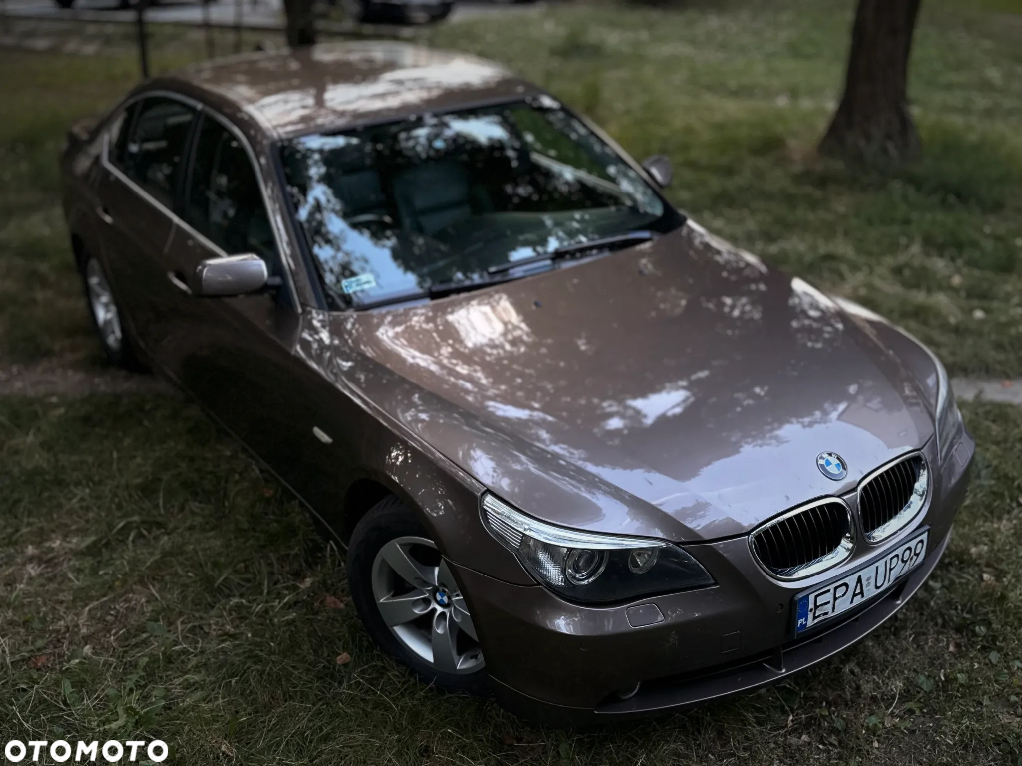 BMW Seria 5 525i - 3