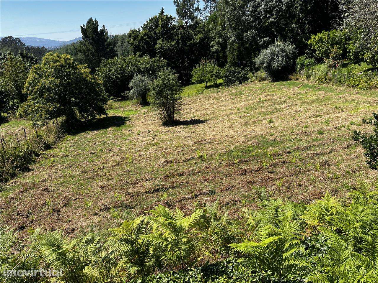 Terreno em Vila Nova de Poiares, Arrifana - Grande imagem: 3/11