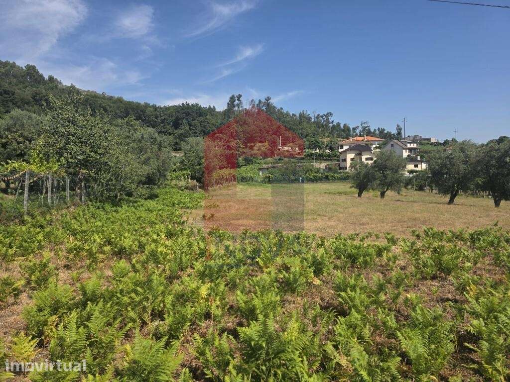 Terreno em Anais, Ponte de Lima - Grande imagem: 5/23