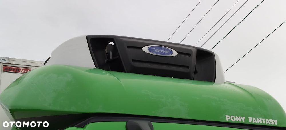 DAF LF 320 EURO 6/ CHŁODNIA PLASTOBLOK agr.CARRIER SUPRA 850Mt0 / AUTOMAT / DRZWI / WINDA ZAŁADUNKOWA - 20