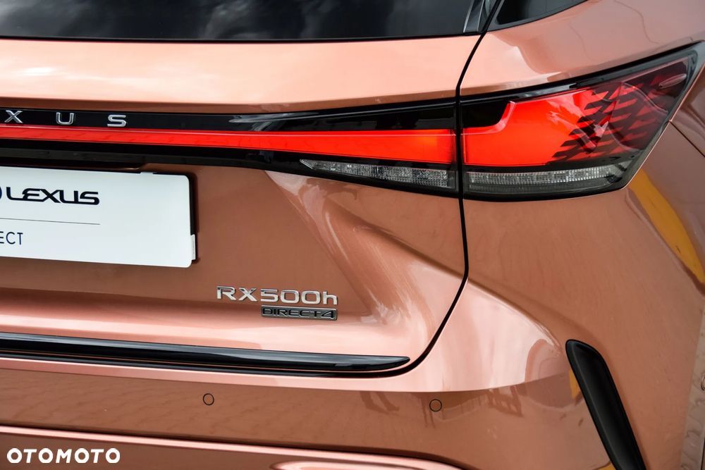 Lexus RX 500h F Sport - 22