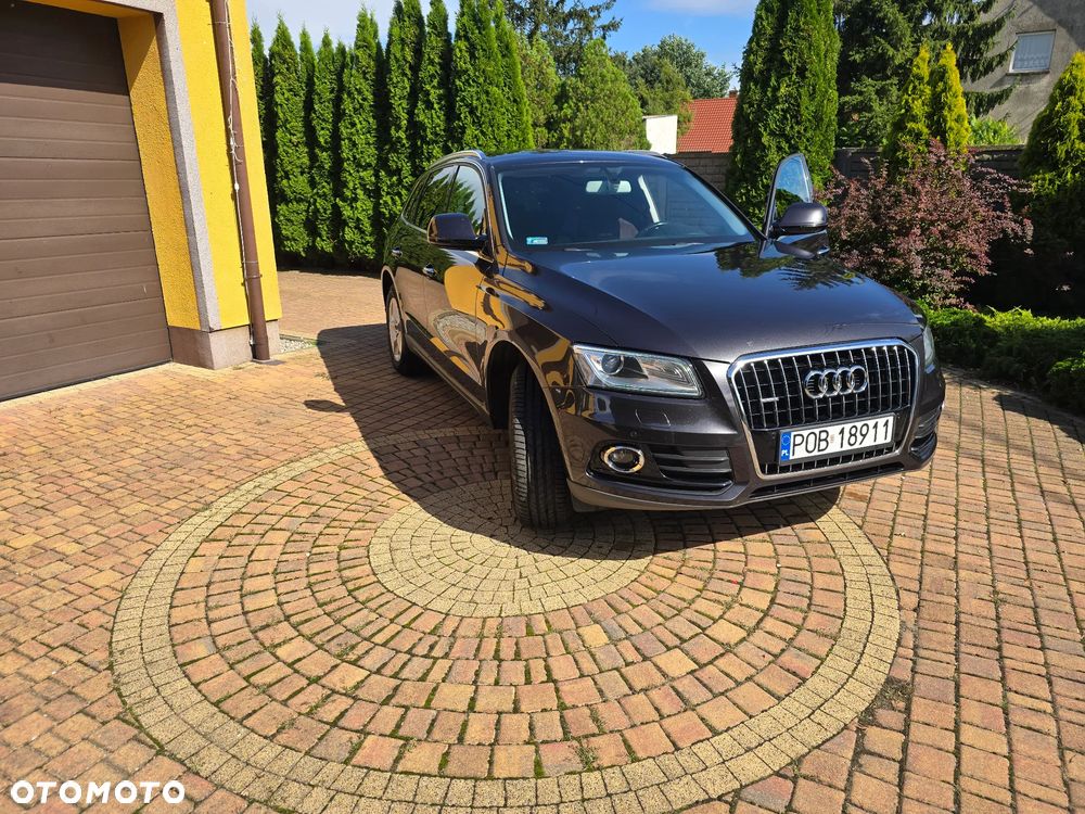 Audi Q5 2.0 TDI clean diesel Quattro S tronic - 2