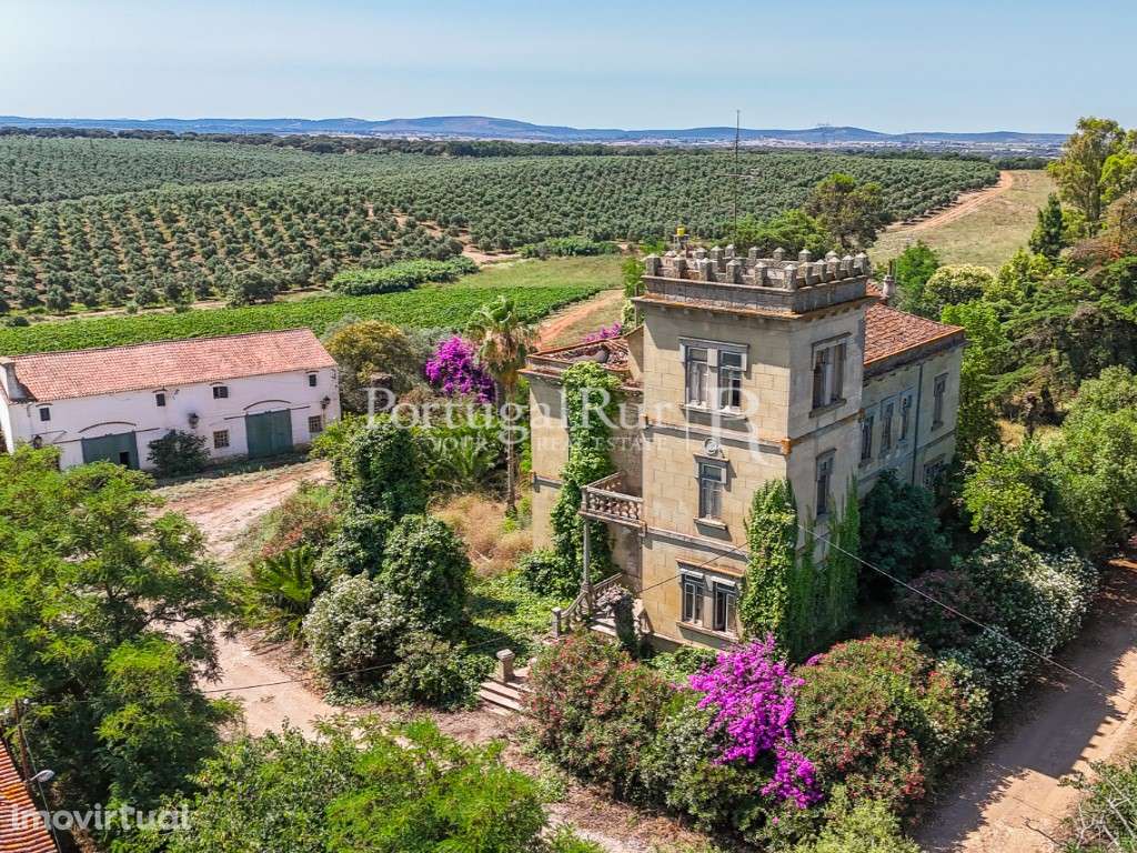 Solar Histórico com Vinha e Potencial Turístico - Grande imagem: 4/60