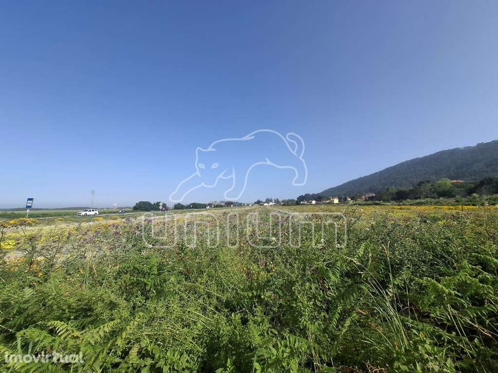 Terreno em Carreço - Grande imagem: 5/5