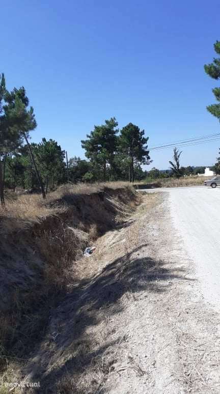 Azeitão Terreno com 10.000 m2 de gaveto. - Grande imagem: 5/9