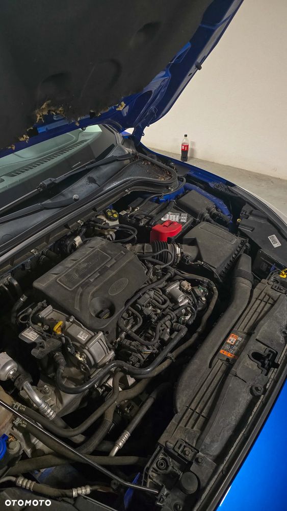 Ford Focus - 26