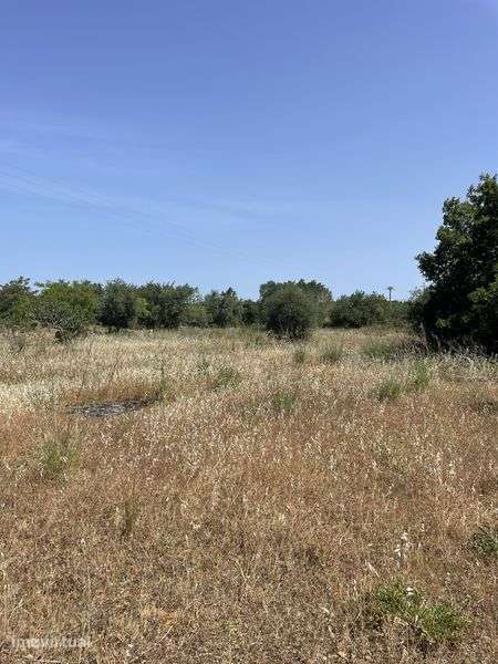 Oportunidade Única em Estoi — Terreno Rústico com 3.000 m² - Grande imagem: 2/12