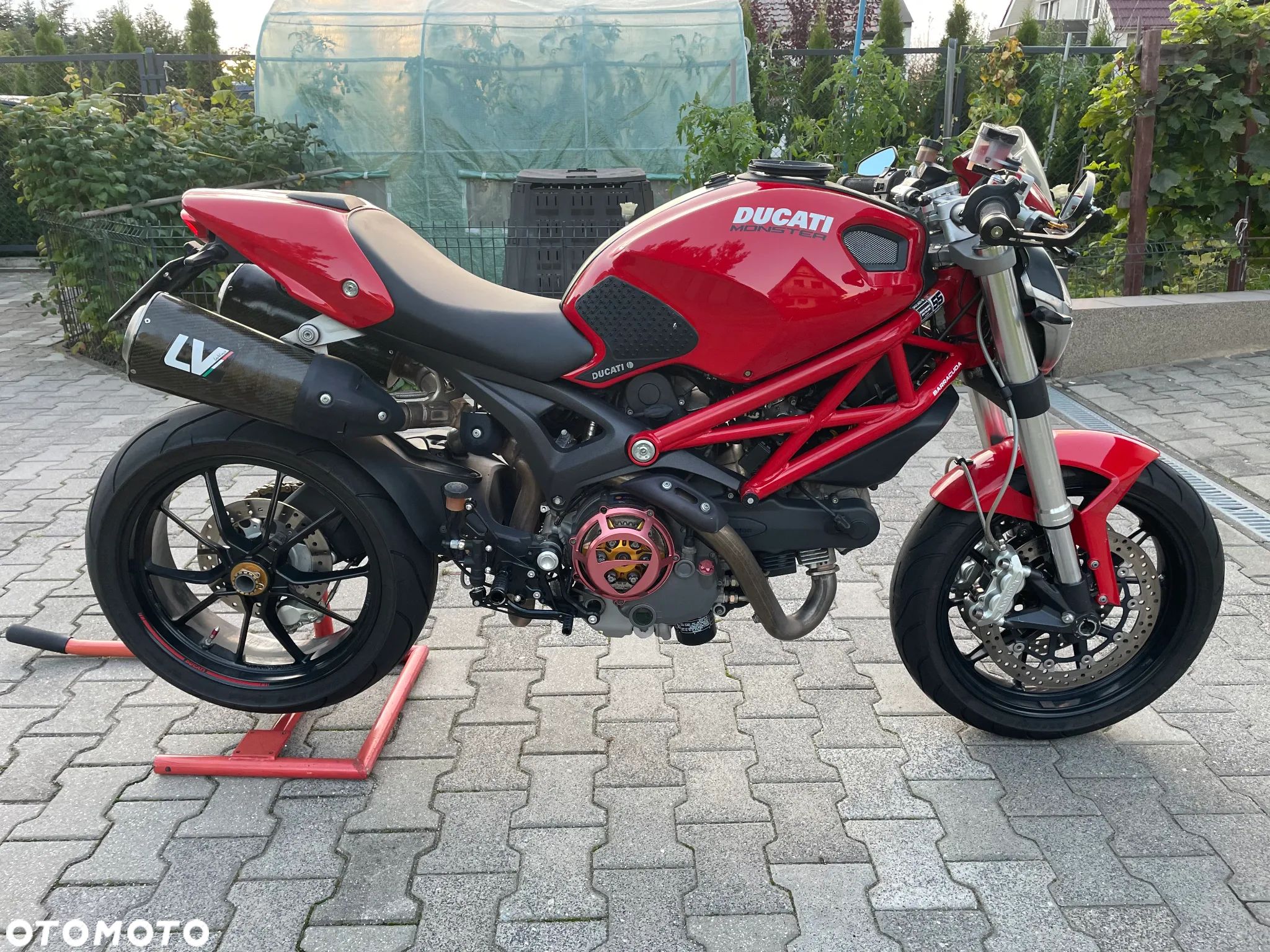 Ducati Monster - 1