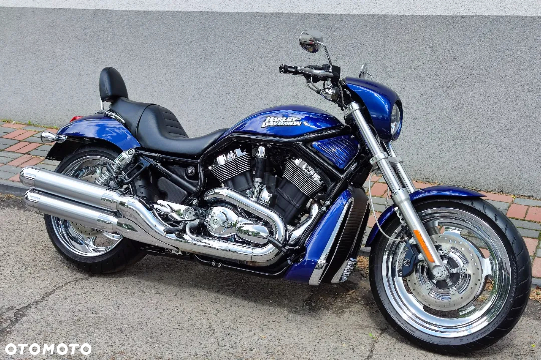 Harley-Davidson Softail V-Rod - 3