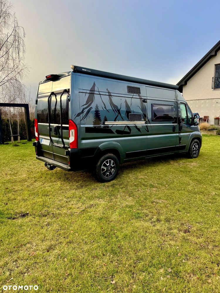 McLOUIS Prestige - 6