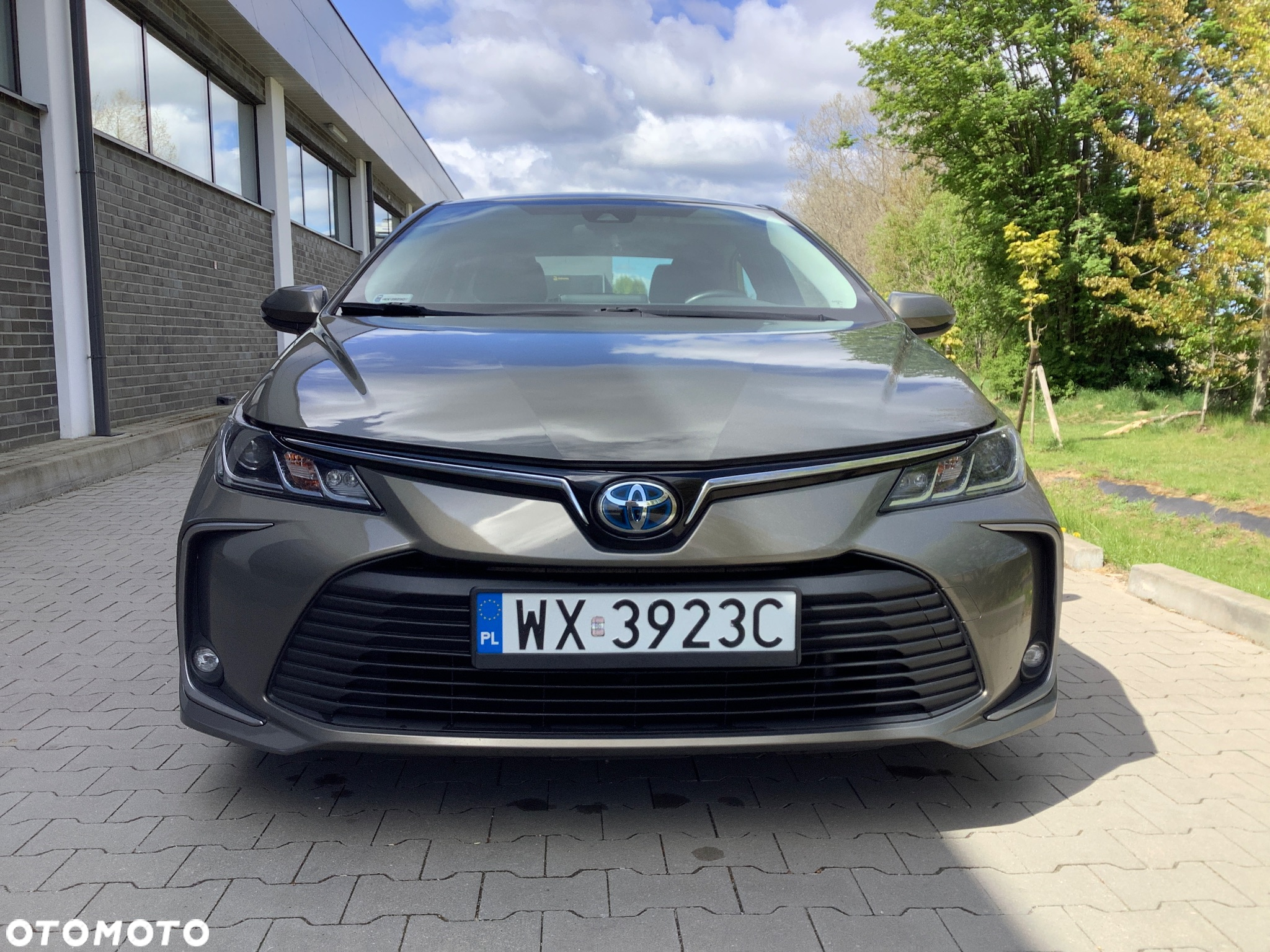 Toyota Corolla - 5
