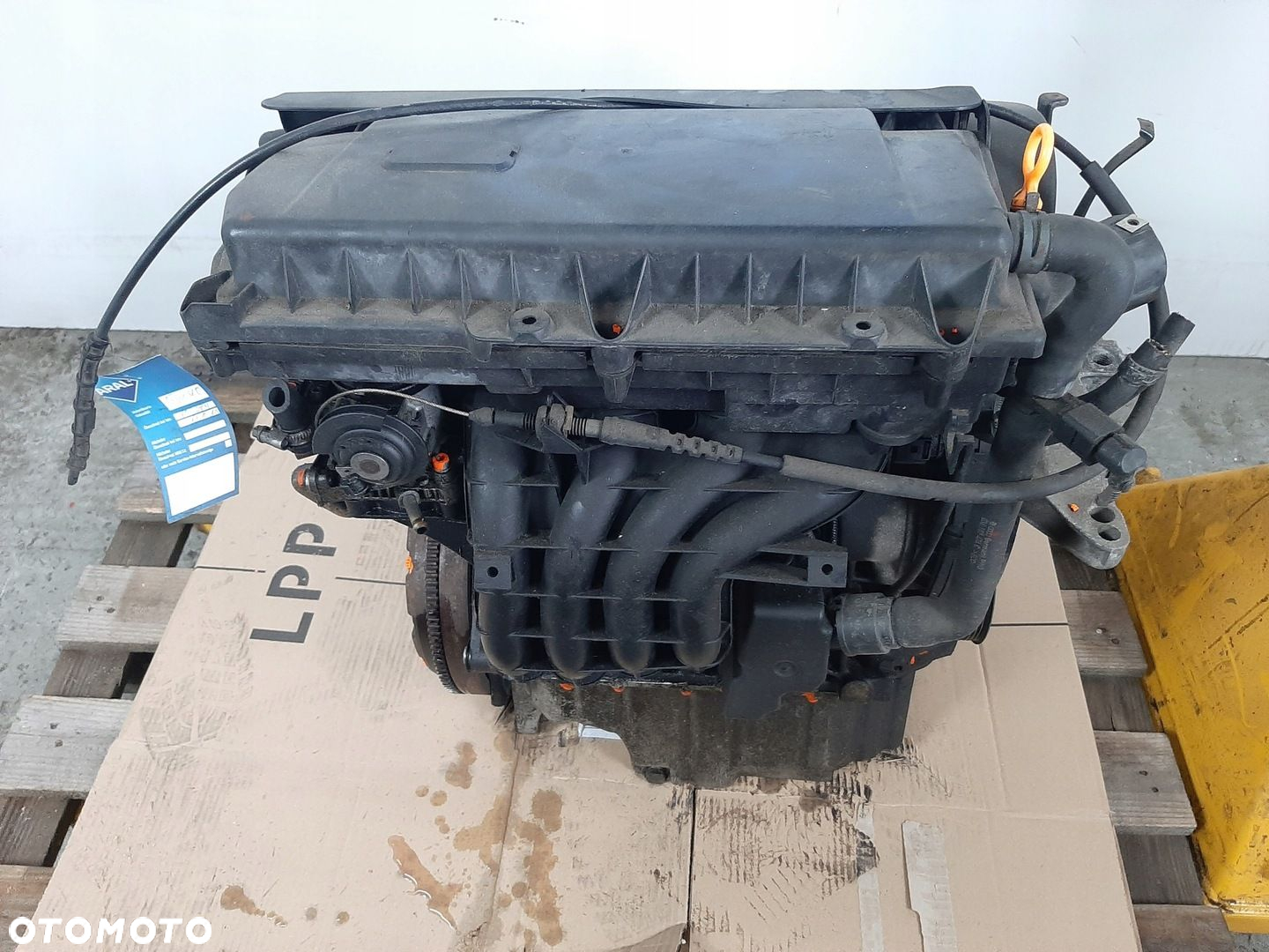 VW GOLF IV 1.4 16V HB 5D 00R SILNIK AKQ 55KW 75KM - 9