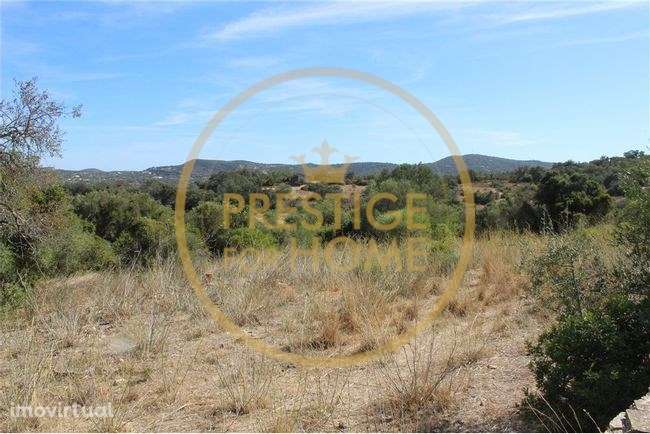 Quinta com cerca de 3979 m2 com área de construção de cerca de 1600m2 - Grande imagem: 2/4