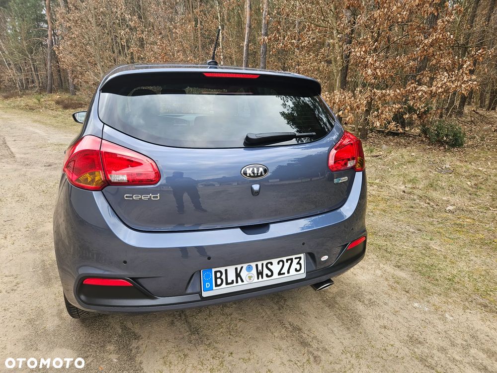 Kia Ceed - 16