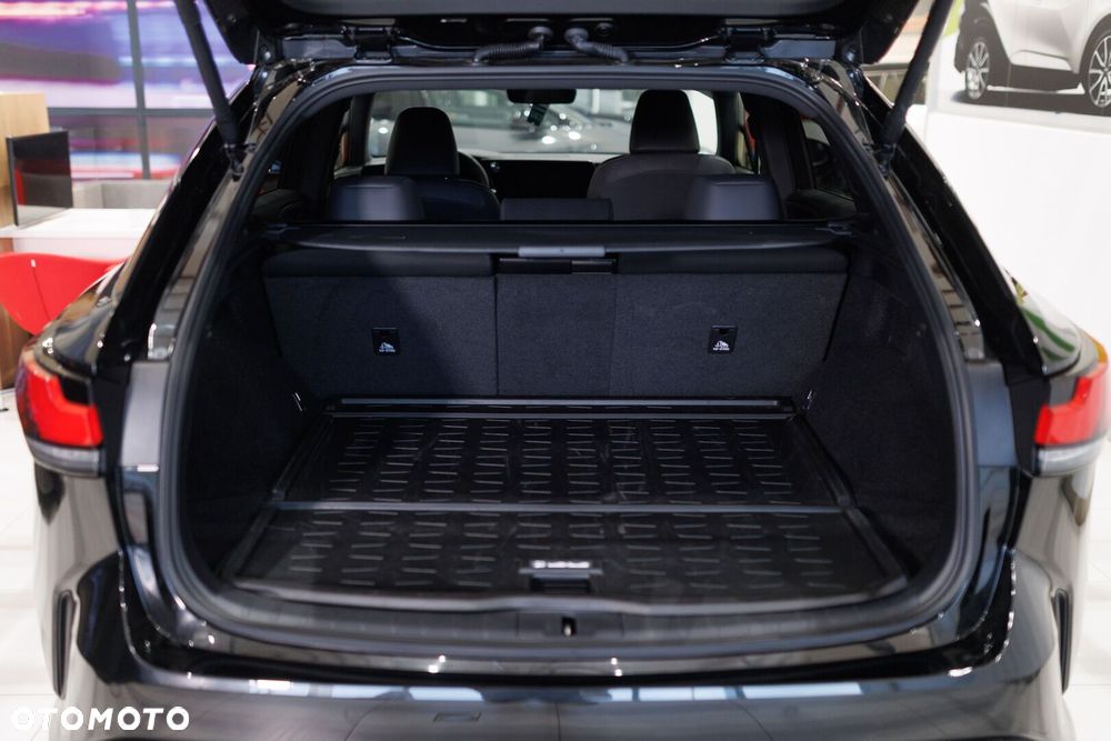 Lexus RX 450h+ F Sport Design - 21