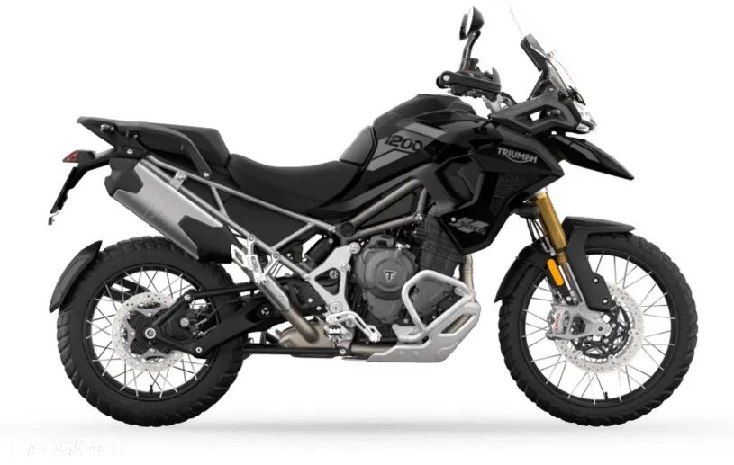 Triumph Tiger - 11