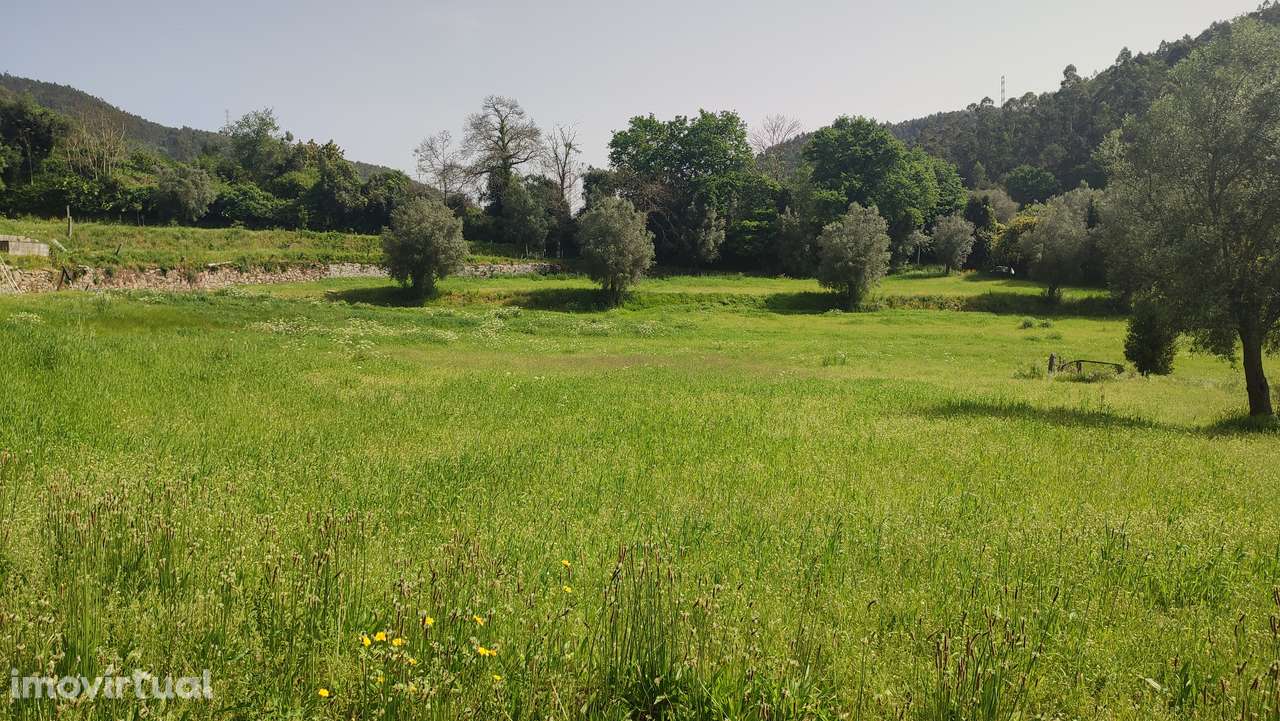 Terreno em Caires, Amares. - Grande imagem: 5/26