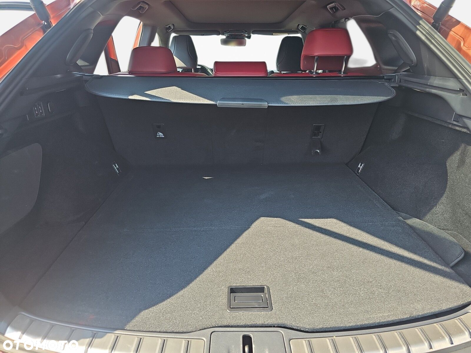 Lexus RX - 31