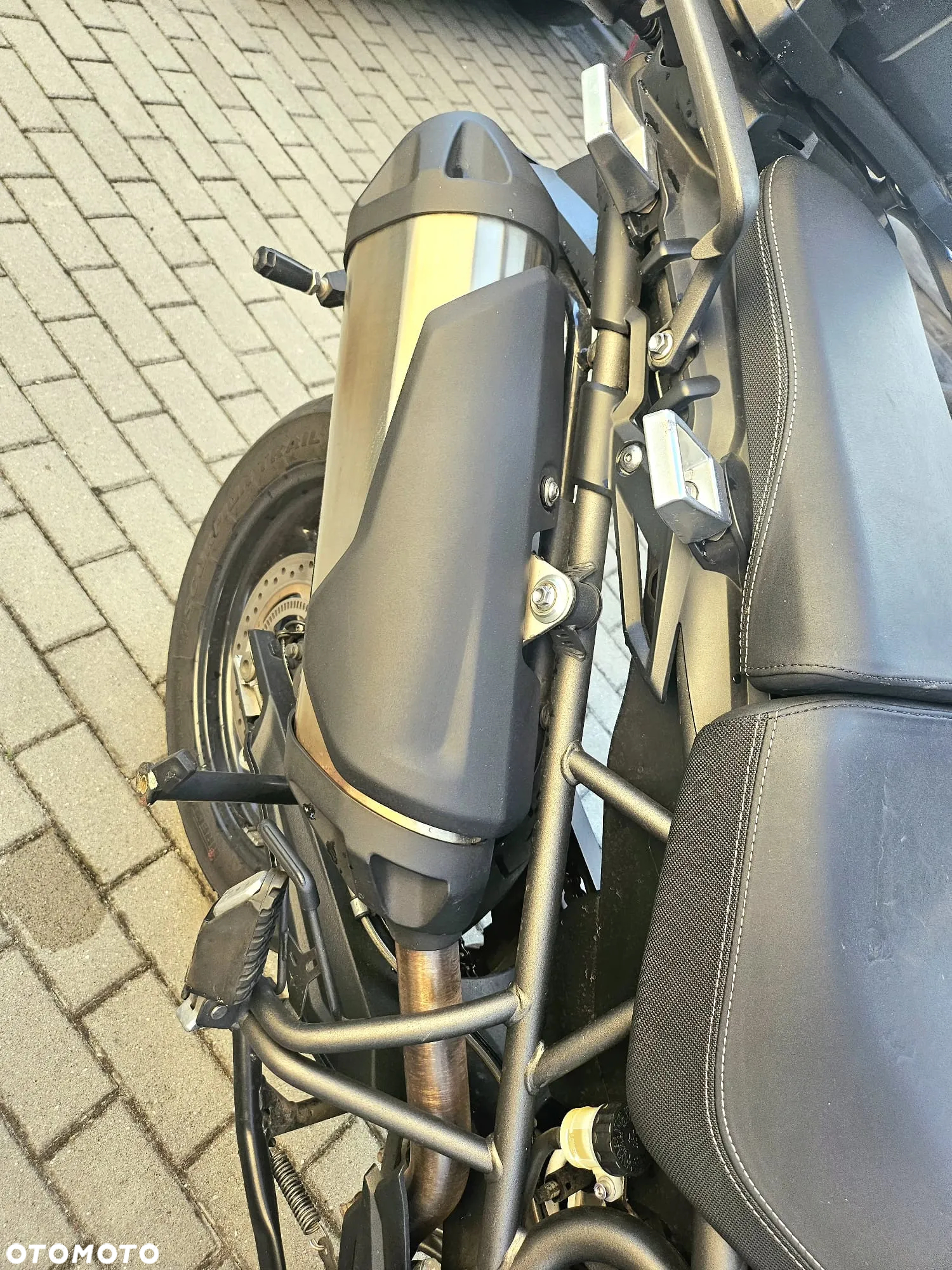 Triumph Tiger - 16