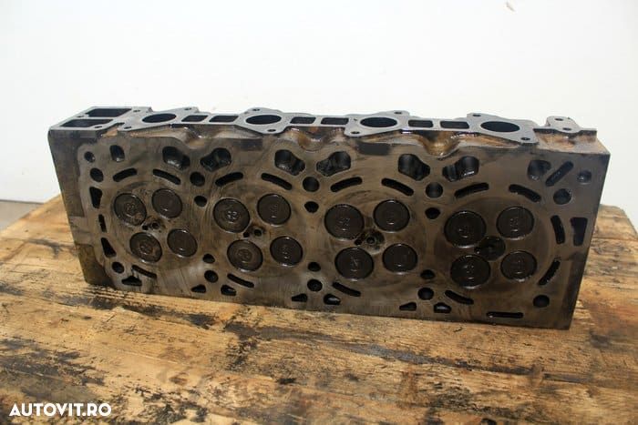 Chiuloasa caterpillar c3.3b - 1