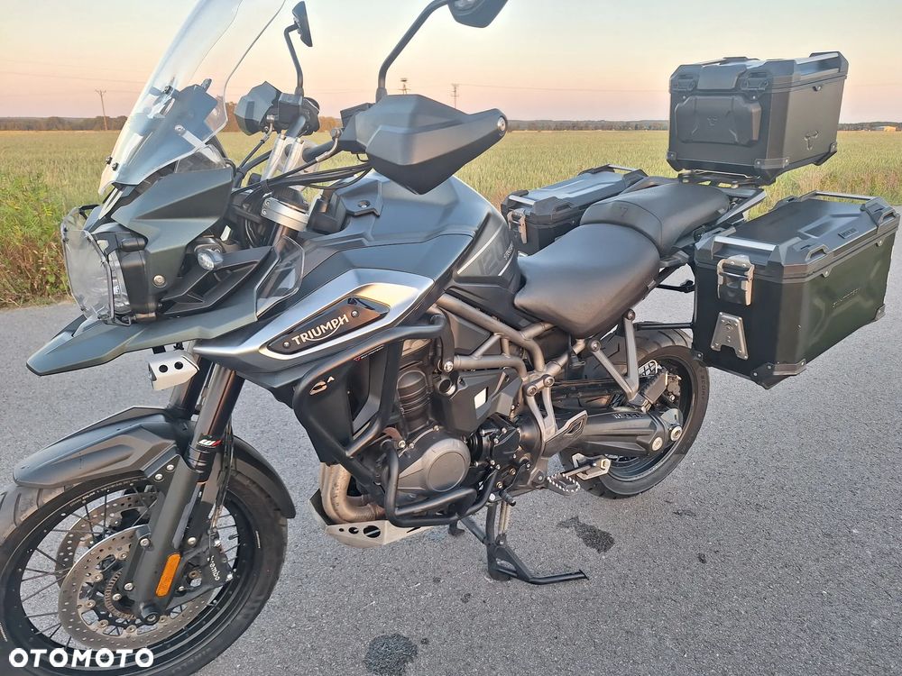 Triumph Tiger - 1