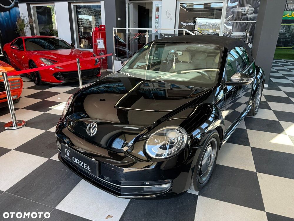 Volkswagen Beetle - 31