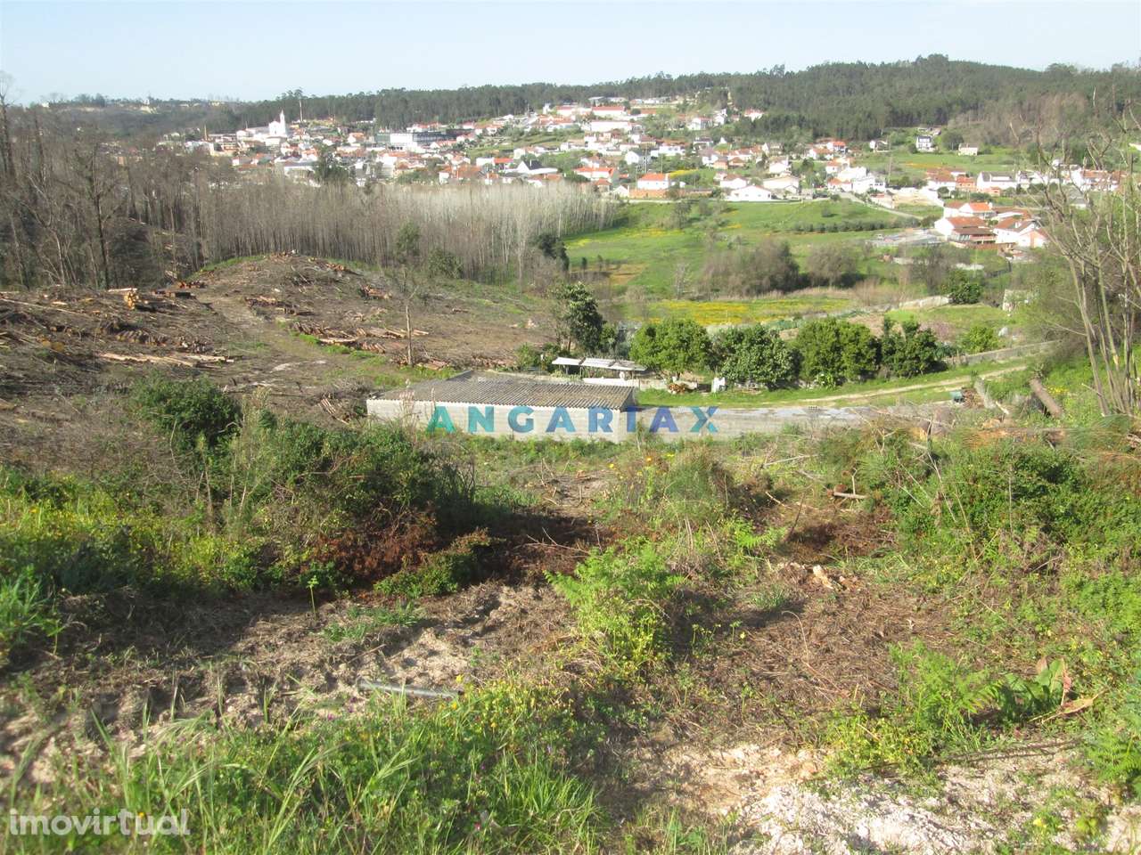 ANG786 - Terreno com 1110m2 para Venda em Colmeias, Leiria - Grande imagem: 3/7