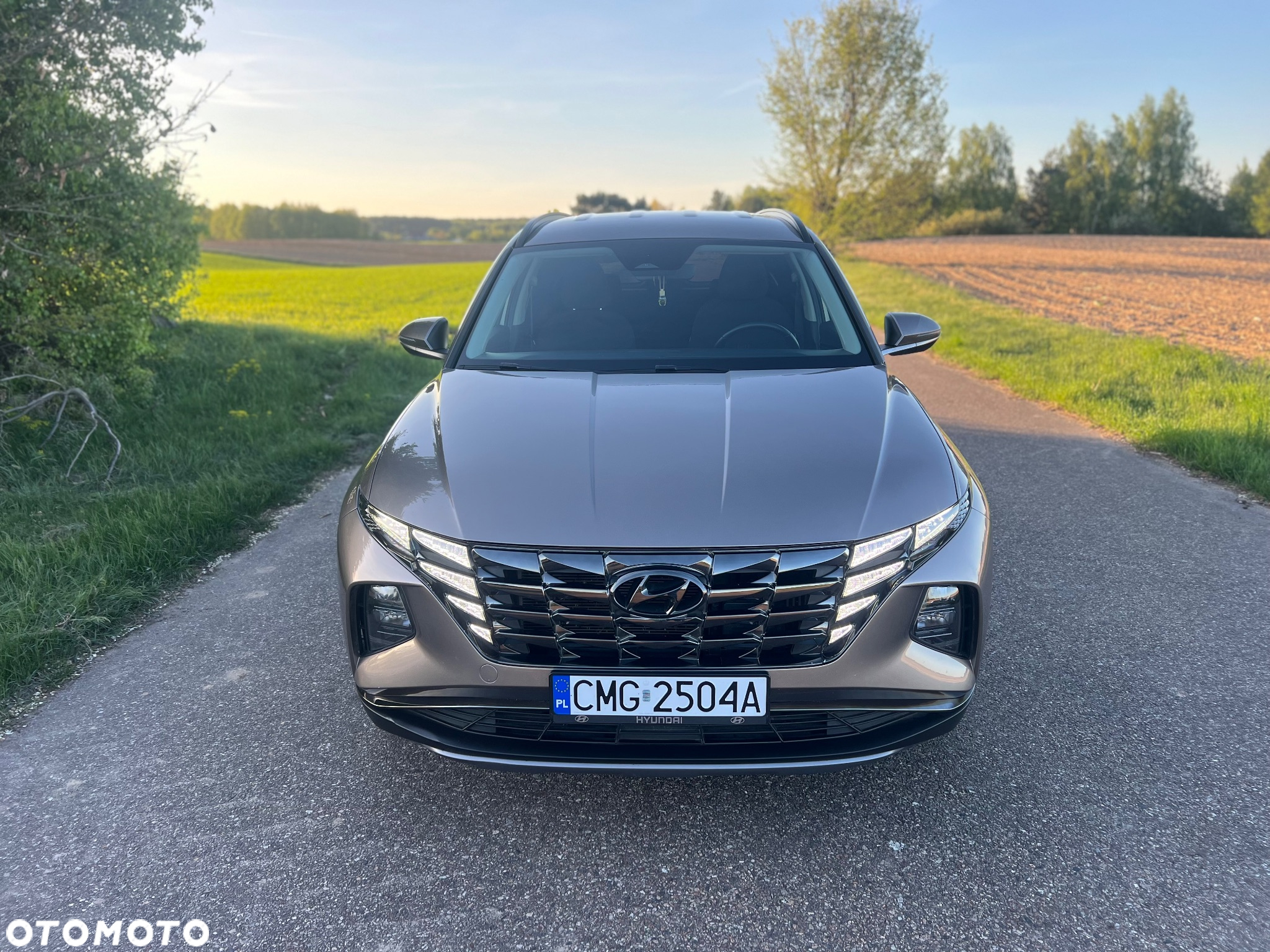 Hyundai Tucson 1.6 T-GDi HEV 2WD Prime - 2