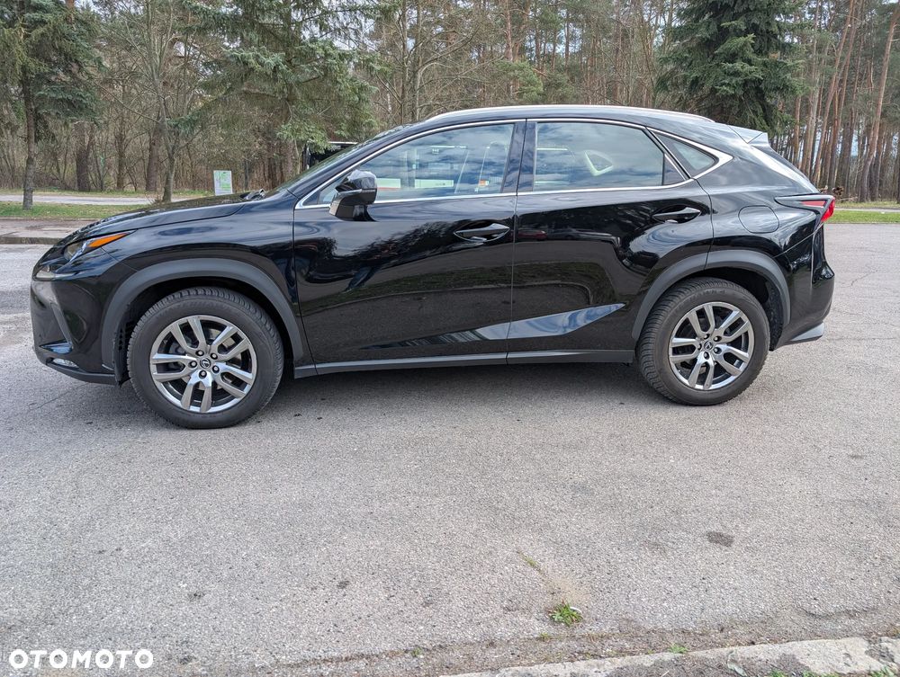 Lexus NX 300 Business Edition AWD - 5