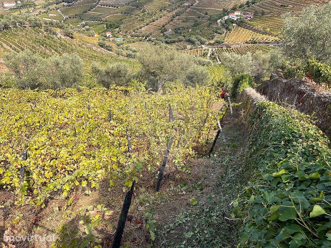 Moradia T1 para venda - Grande imagem: 5/8