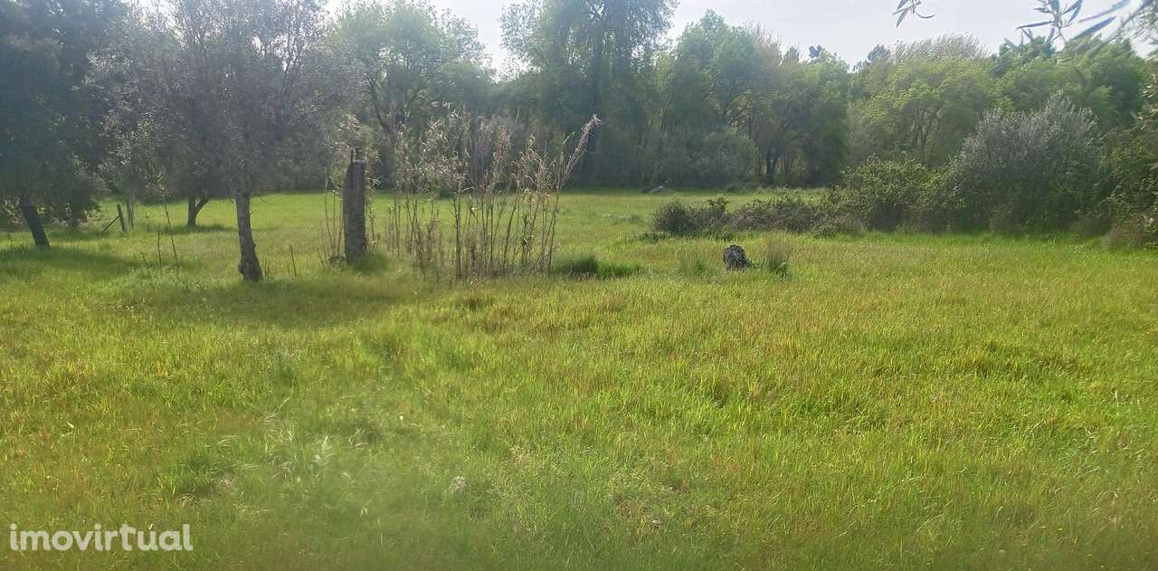 Terreno - Grande imagem: 5/8